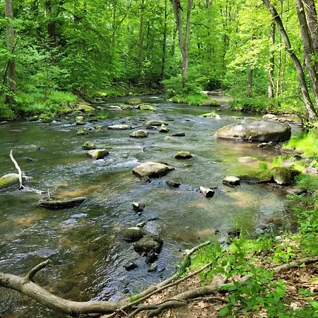 Appartement Grubschuetzer Ferienhaeuschen
