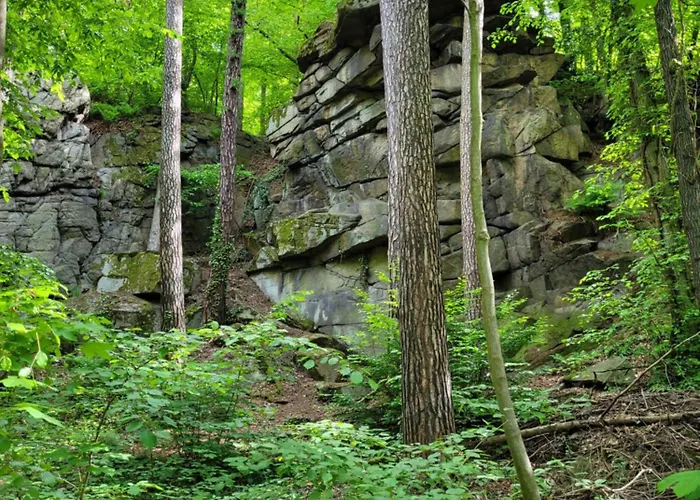 Grubschuetzer Ferienhaeuschen
