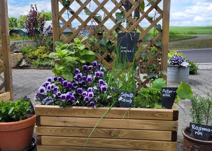 Appartement Grubschuetzer Ferienhaeuschen Grubschütz